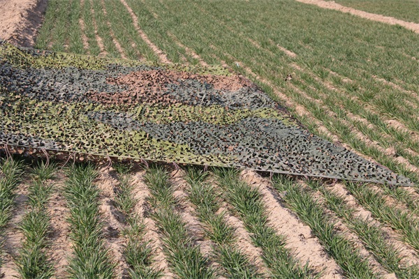 山東充氣模：充氣帳篷有哪些優點