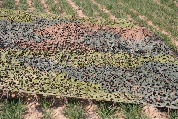 沙漠環境下偽裝網的使用需要具備哪些特點？